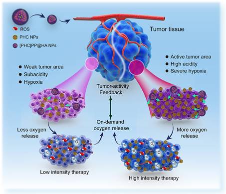 世界卫生组织治疗肿瘤的新方法,治疗肿瘤的最新研究进展