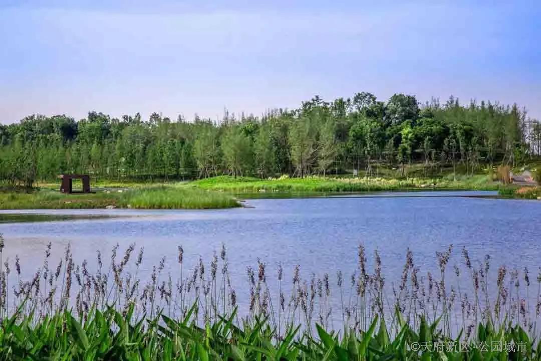 住在公园里是什么体验,居住在公园里的感受