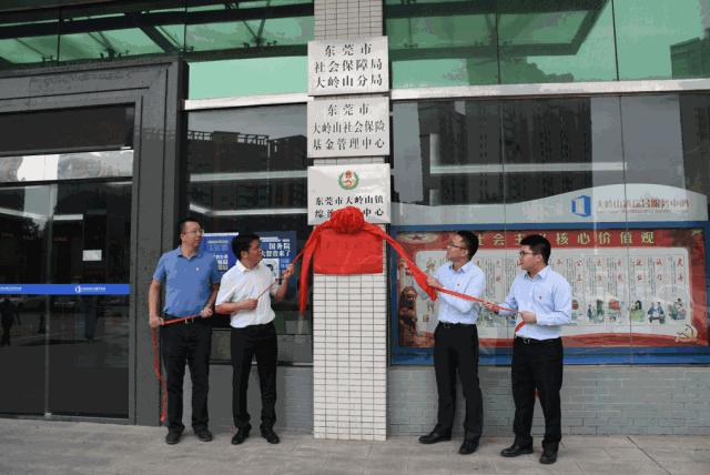 在年岁即将交替的时光里「这一年大岭山都发生了什么大事」