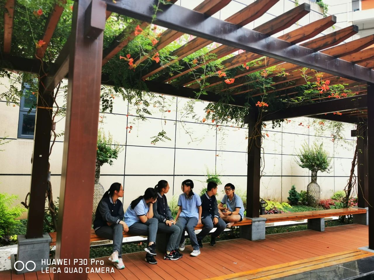 南京教育集团学校,南京初中教育集团排名