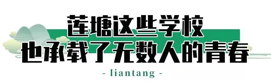 附近莲塘,附近的莲塘