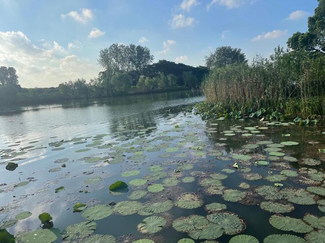 无锡市滨湖区发展规划,无锡滨湖后花园