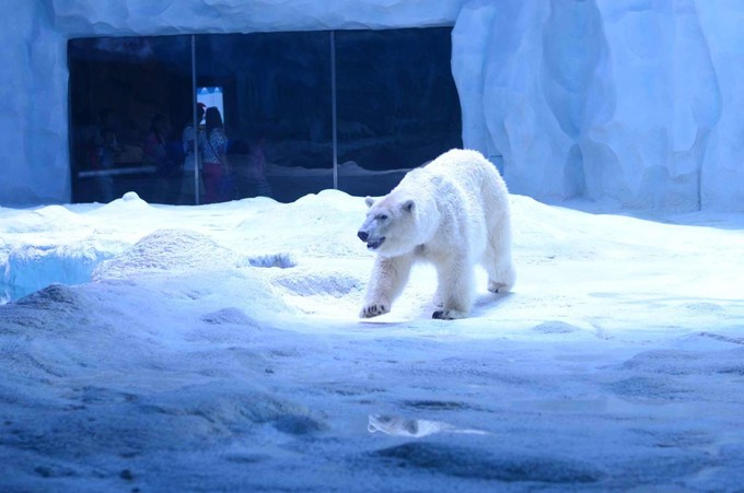 珠海长隆海洋王国全面游玩攻略,珠海长隆海洋王国游玩攻略和价格