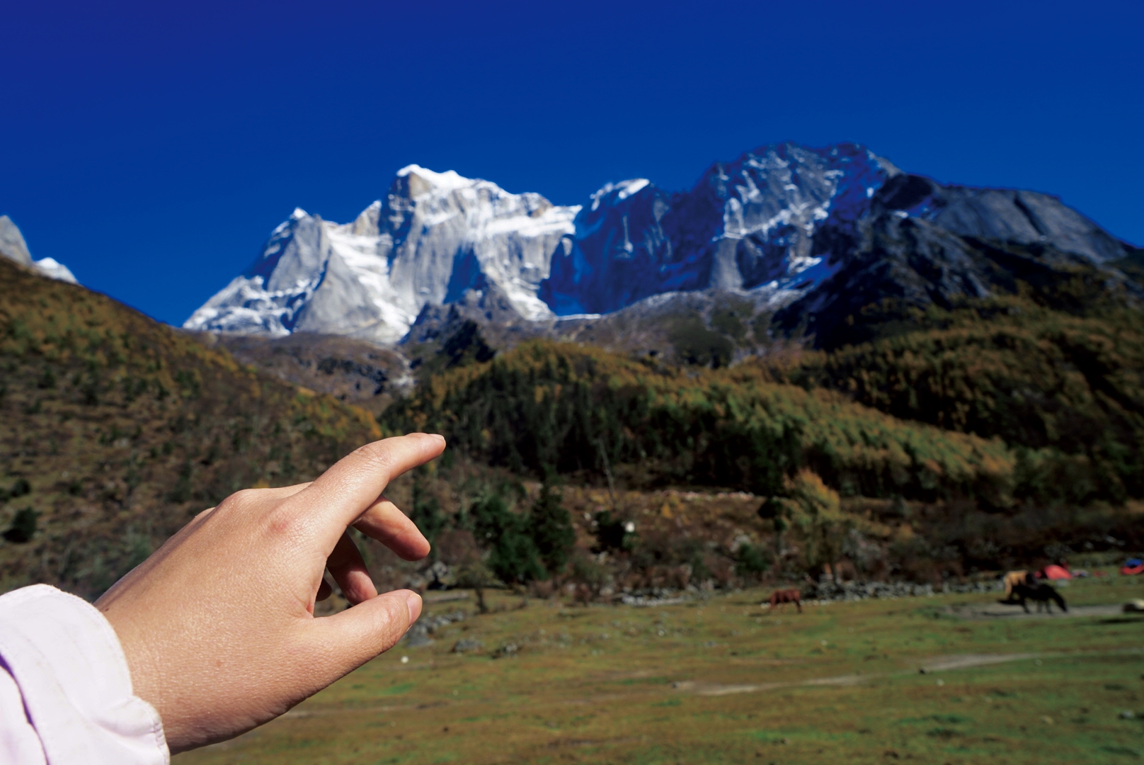 四川旅游四姑娘山阿坝,4月阿坝州必去的景点有什么