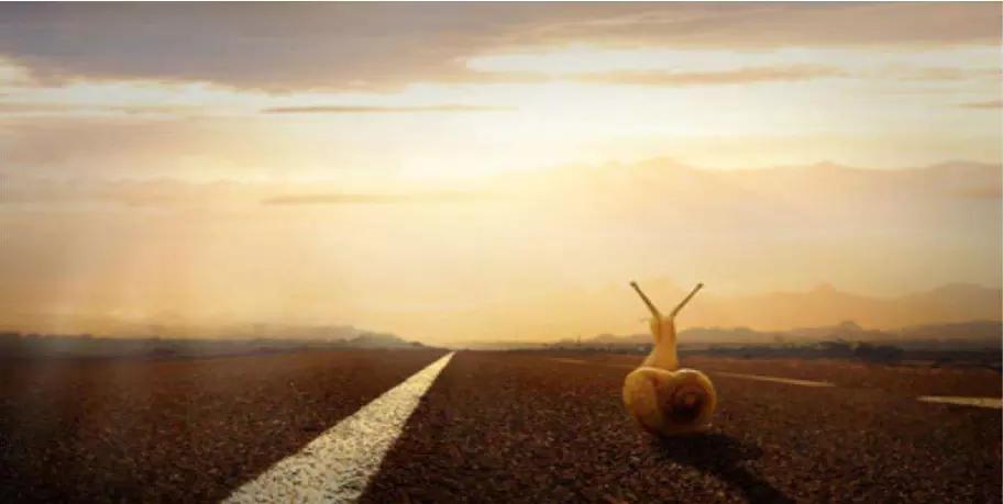 青岛零基础平面设计培训,零基础平面设计入门教程