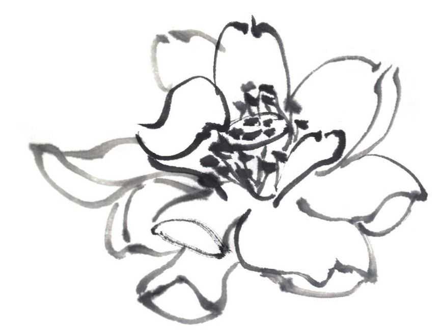 国画刘存惠荷花画法全视频,国画山水画教学视频荷花画法