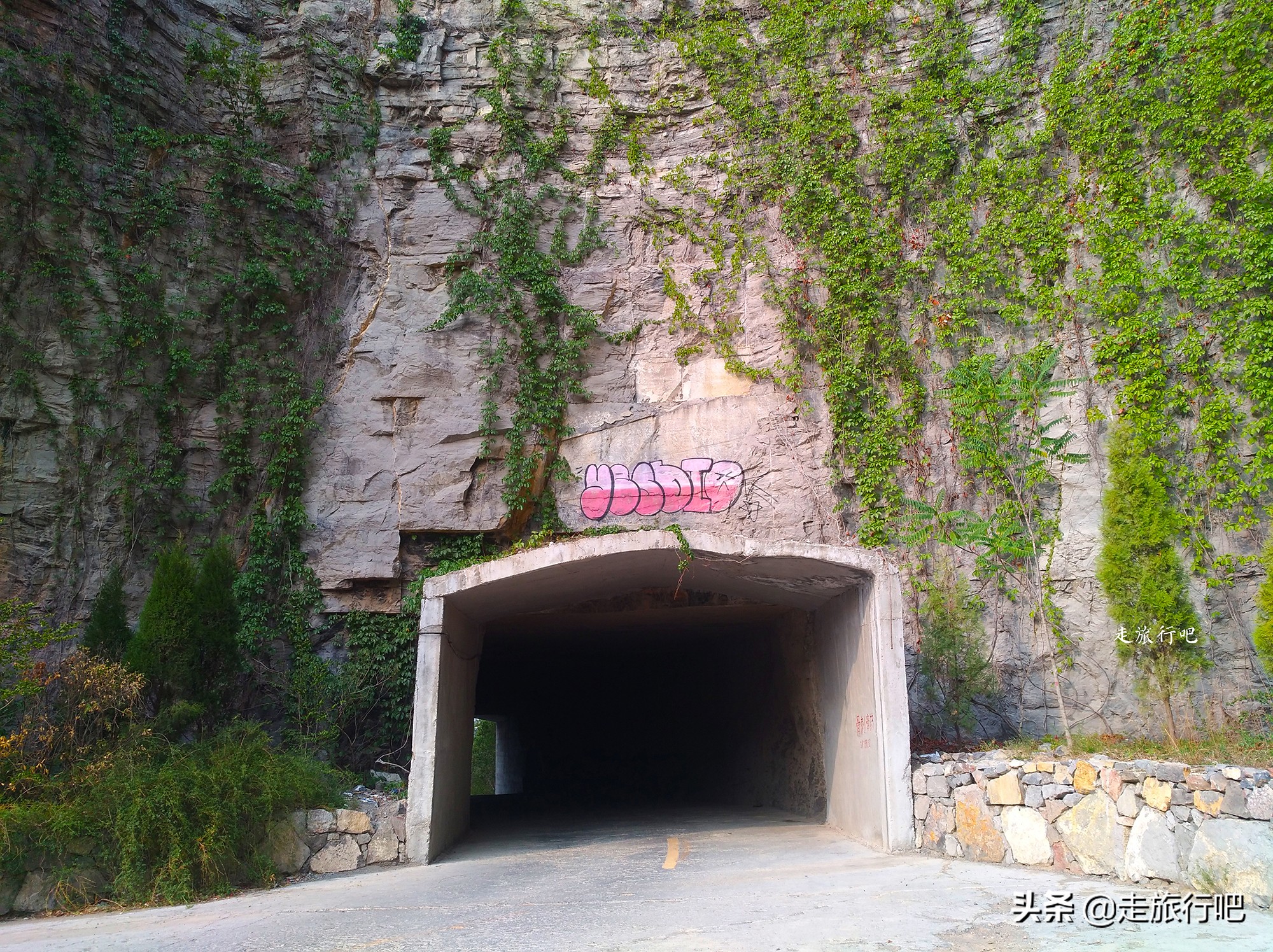 新乡凤凰山森林公园坐几路公交车,凤凰山森林公园新乡怎么开车上去