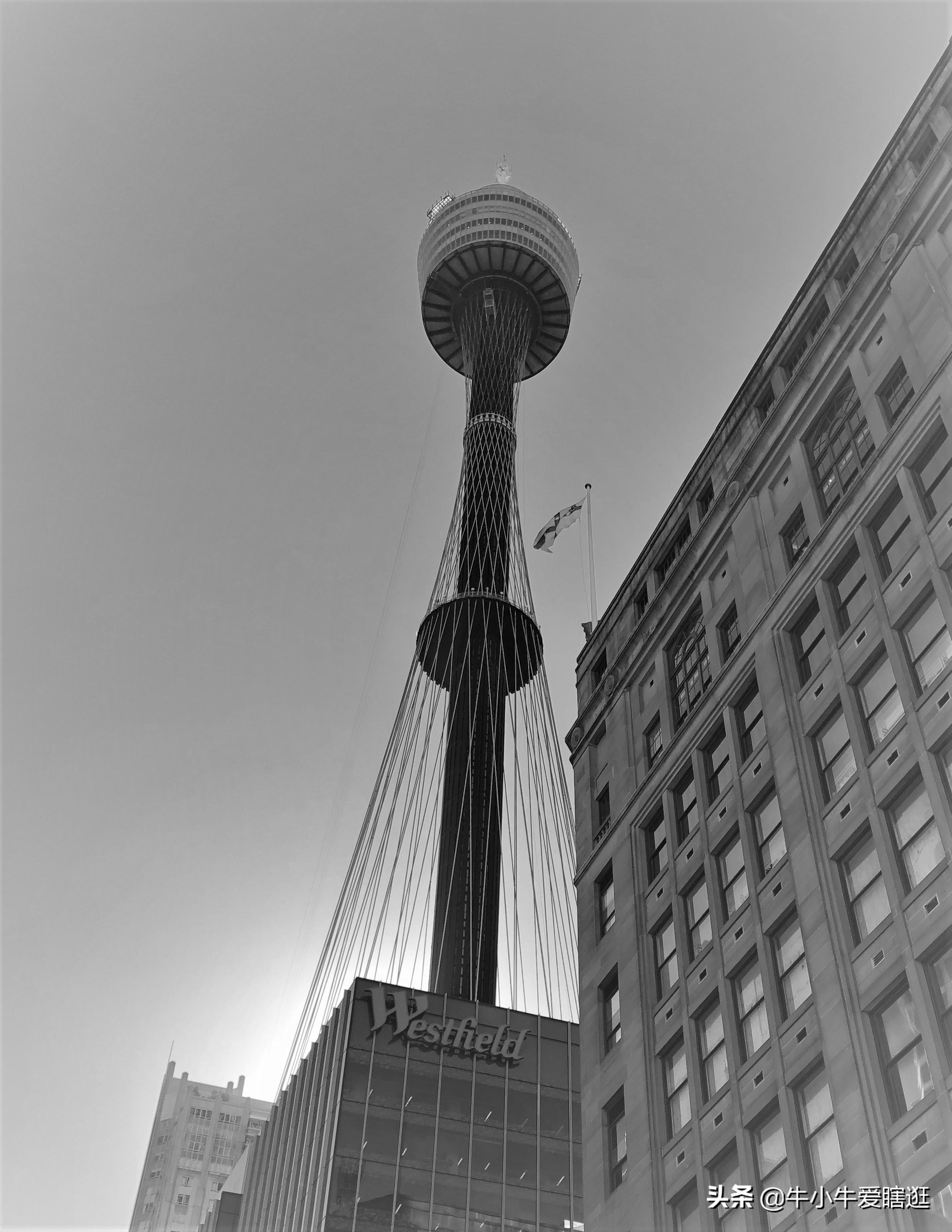 悉尼7日游自由行攻略,澳洲阿德莱德旅游攻略