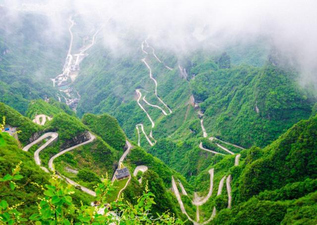 天门山森林公园和张家界森林公园,张家界天门山一日游最佳路线