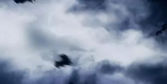 微小说：姐姐的选择让我痛苦不堪