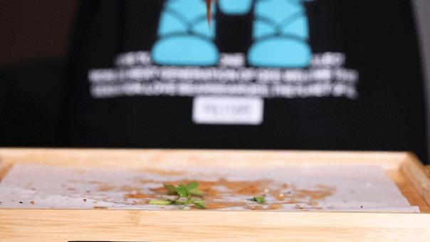 国潮自助东海,国潮风海鲜自助餐