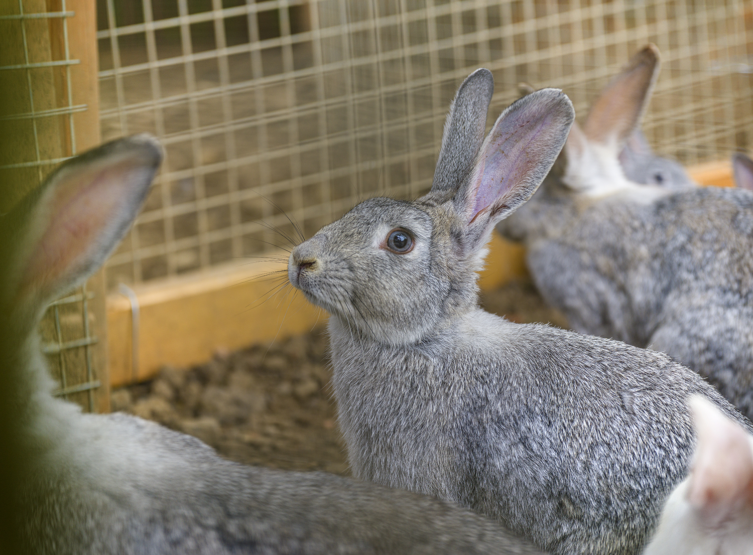 五一假期避开人群的小众旅游,五一必去度假酒店推荐