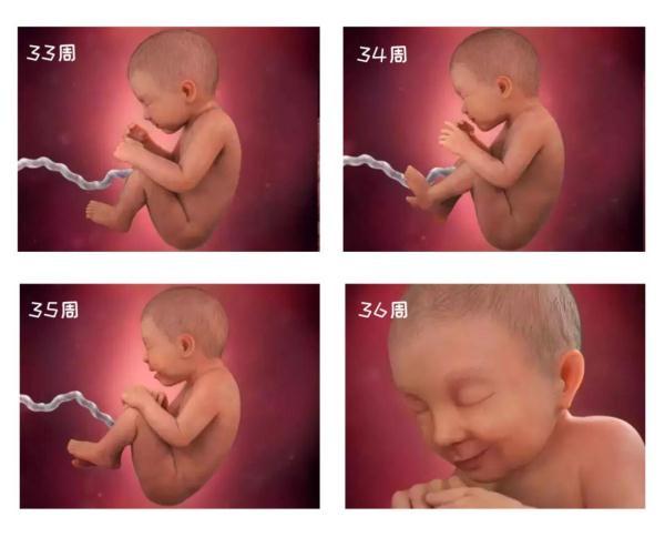 怀孕30周胎宝发育对照表,孕35周胎宝发育什么