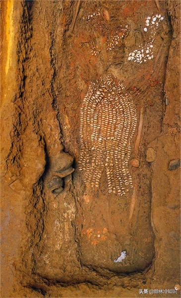 海边捡的贝壳能值多少钱,海边贝壳值钱吗