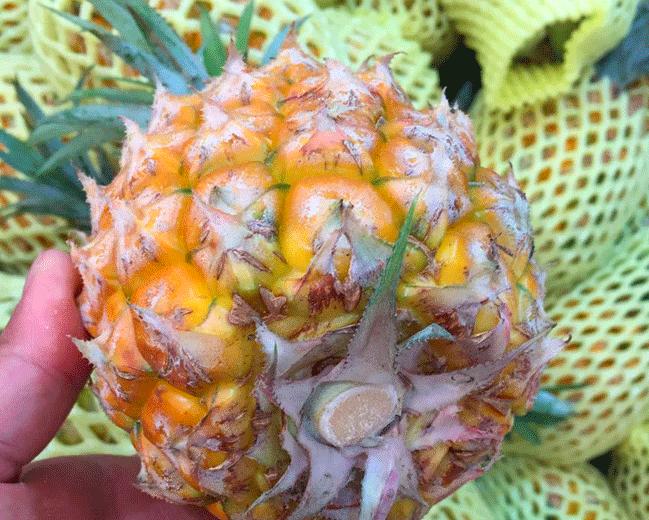 5月份的季节适合吃的水果有哪些,5月吃什么水果最应季