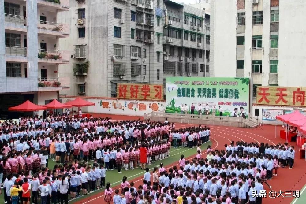 大事记丨2019,附小向您报告