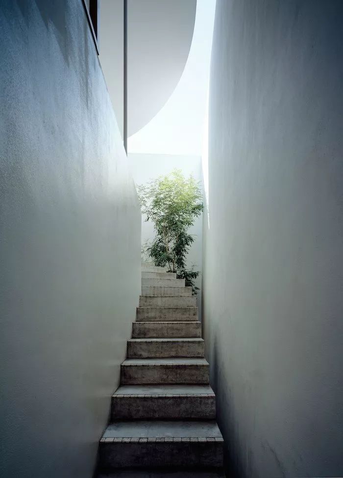 买不起大房子，日本教授为妻子造18m²“豪宅”当生日礼物.......