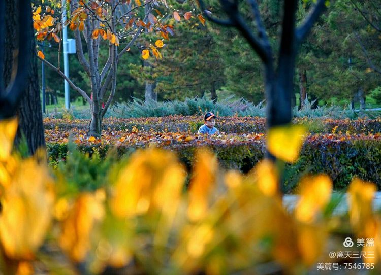 玉泉山北坞公园介绍,北坞村玉泉山