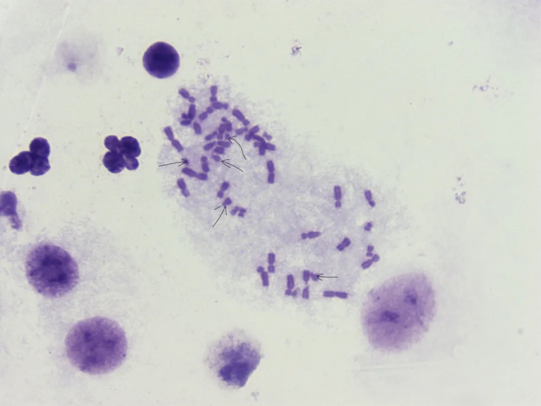 医学生学习打卡做题,医学生学习成果检验视频