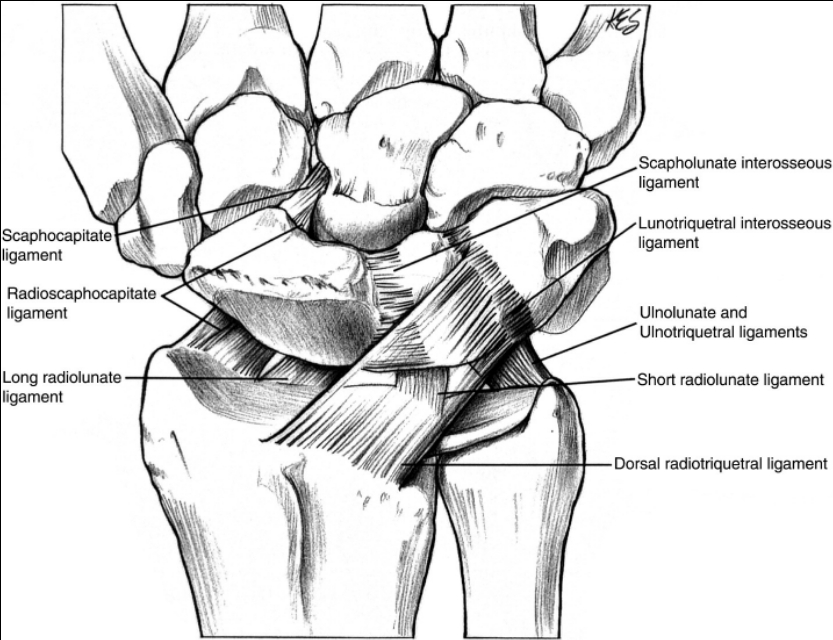 中医治疗腕舟骨骨折,经皮钢板治疗胫骨骨折