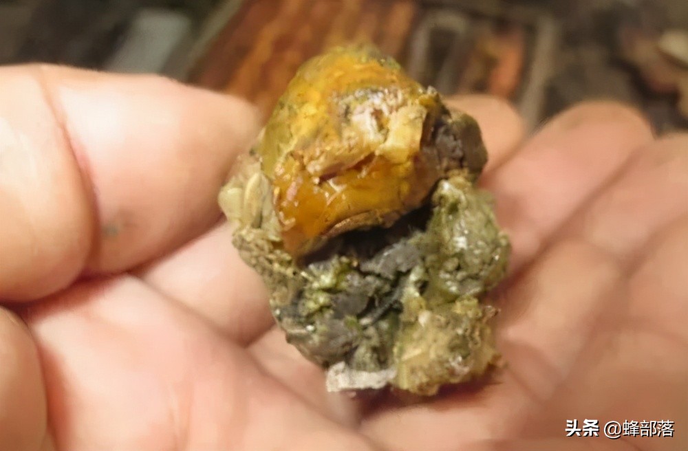 洋槐蜜造假,造假椴树蜜