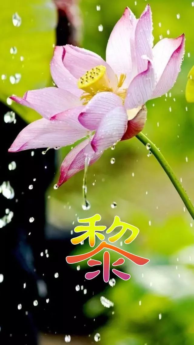 天然翡翠财字,翡翠字体图片欣赏