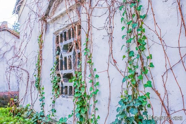 天目湖加南山竹海哪里泡温泉好,天目湖度假秘境享受绝美自然山水