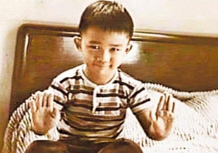 香港一级演员刘德华,香港国家一级演员有刘德华么