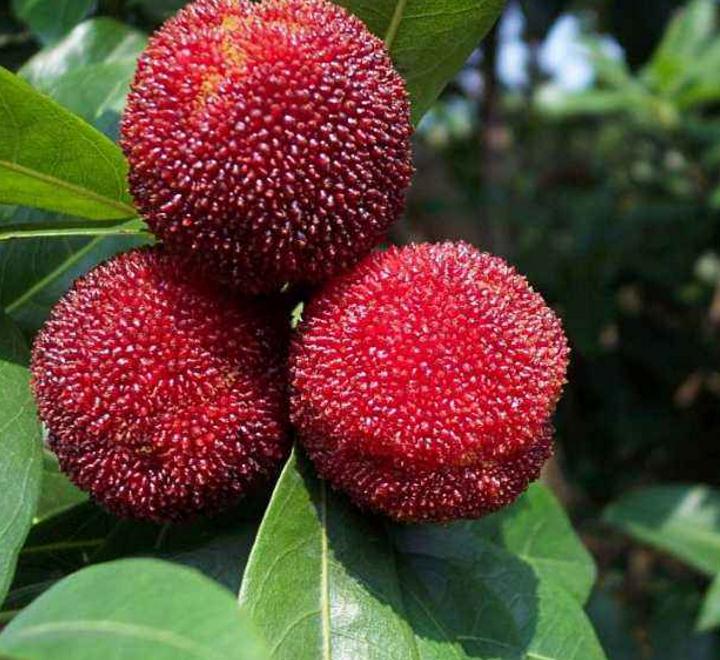 霉运连连的人该怎么摆脱这种情况,怎样才能让一个人走霉运一败涂地