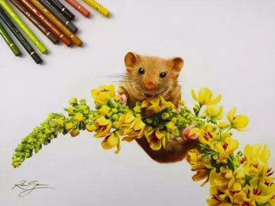 画得比实物好看,彩铅怎么样能画好看