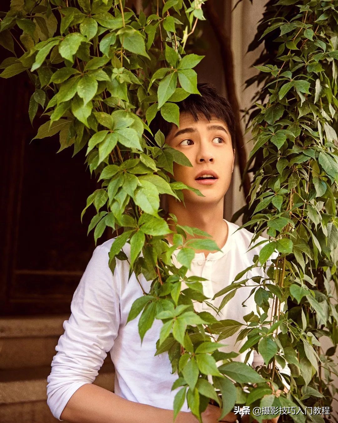 刘昊然拍照教程,刘昊然100种拍照姿势