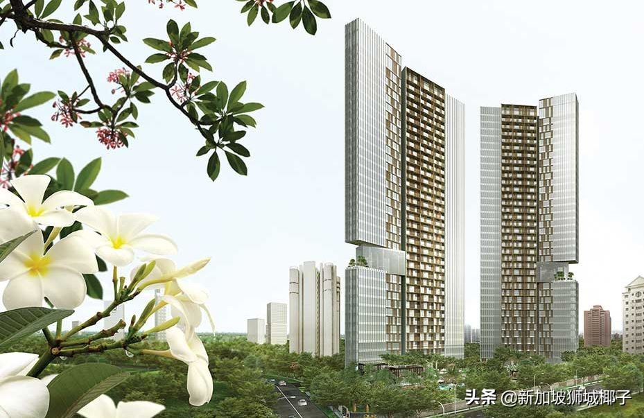 新加坡柏皓顶级豪宅户型图,新加坡乌节路豪宅铂瑞雅居