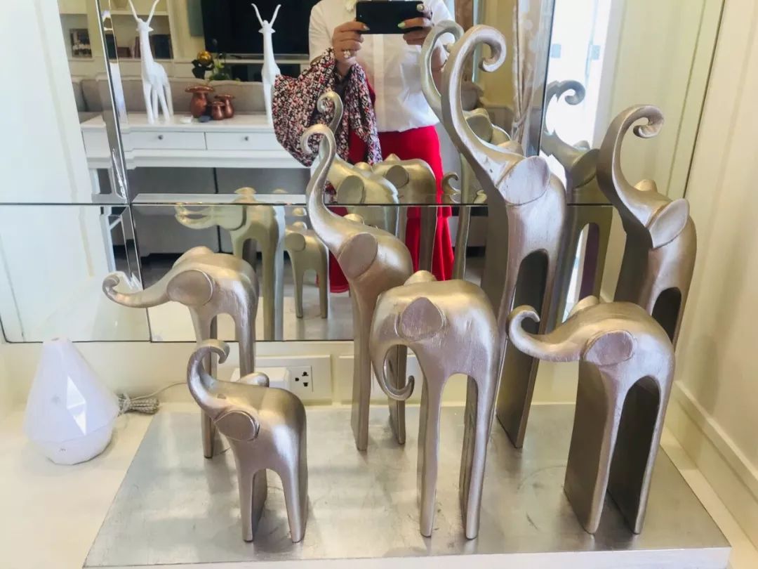 泰国清迈特产水果,泰国清迈的玫瑰