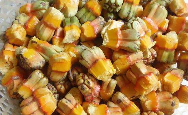 这5种水果建议少吃,这些不常见水果你吃过几样