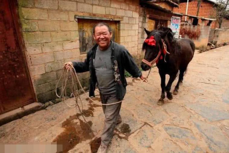 本命年的牛年怎么过有意义,牛年本命年都避什么属相