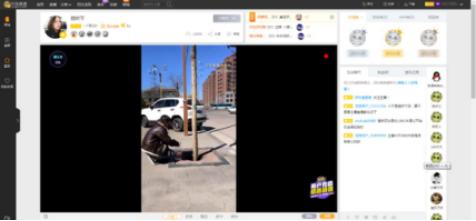 龙珠直播用什么软件直播,龙珠直播app官网