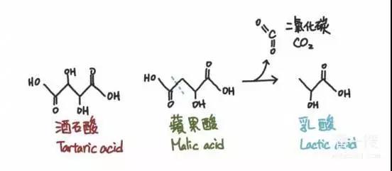 葡萄酒发酵的秘密,酸度最低的葡萄酒