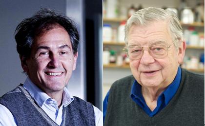 人类进化背后的万年相亲博弈：我们的祖先也爱酷哥