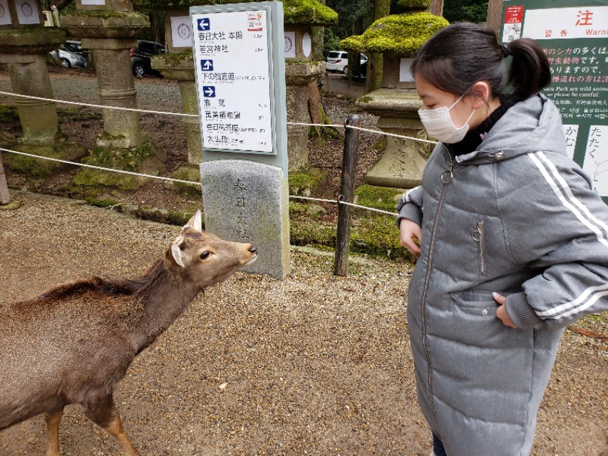 如果你今生只想去一次日本，千万别跟我一样，报这样的旅行团五