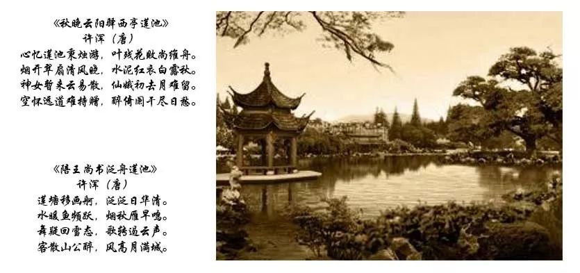 常州金坛最美乡村,金坛有哪些美丽乡村