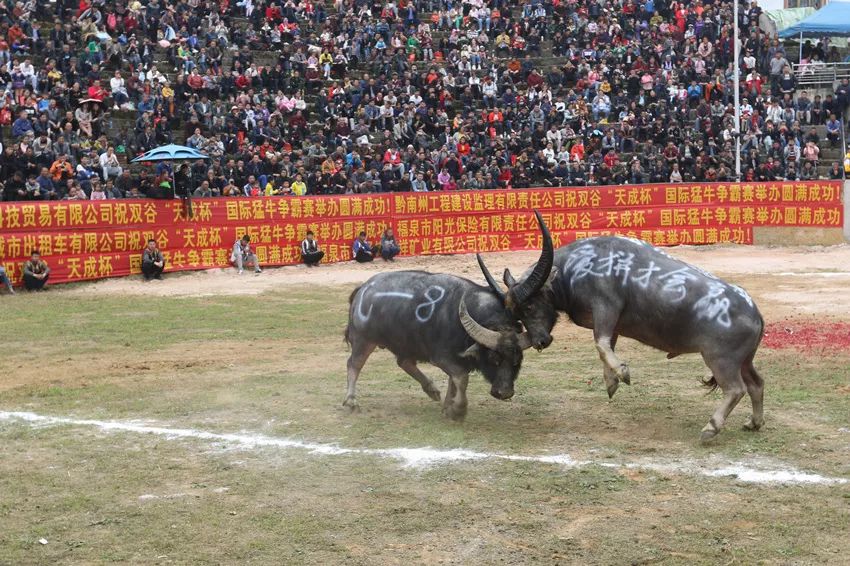 藏在贵州的十座千年古镇,贵州一个低调的千年古城