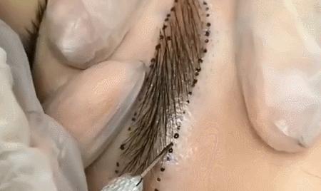 景甜眉毛属于什么眉形,景甜粗眉跟细眉的区别