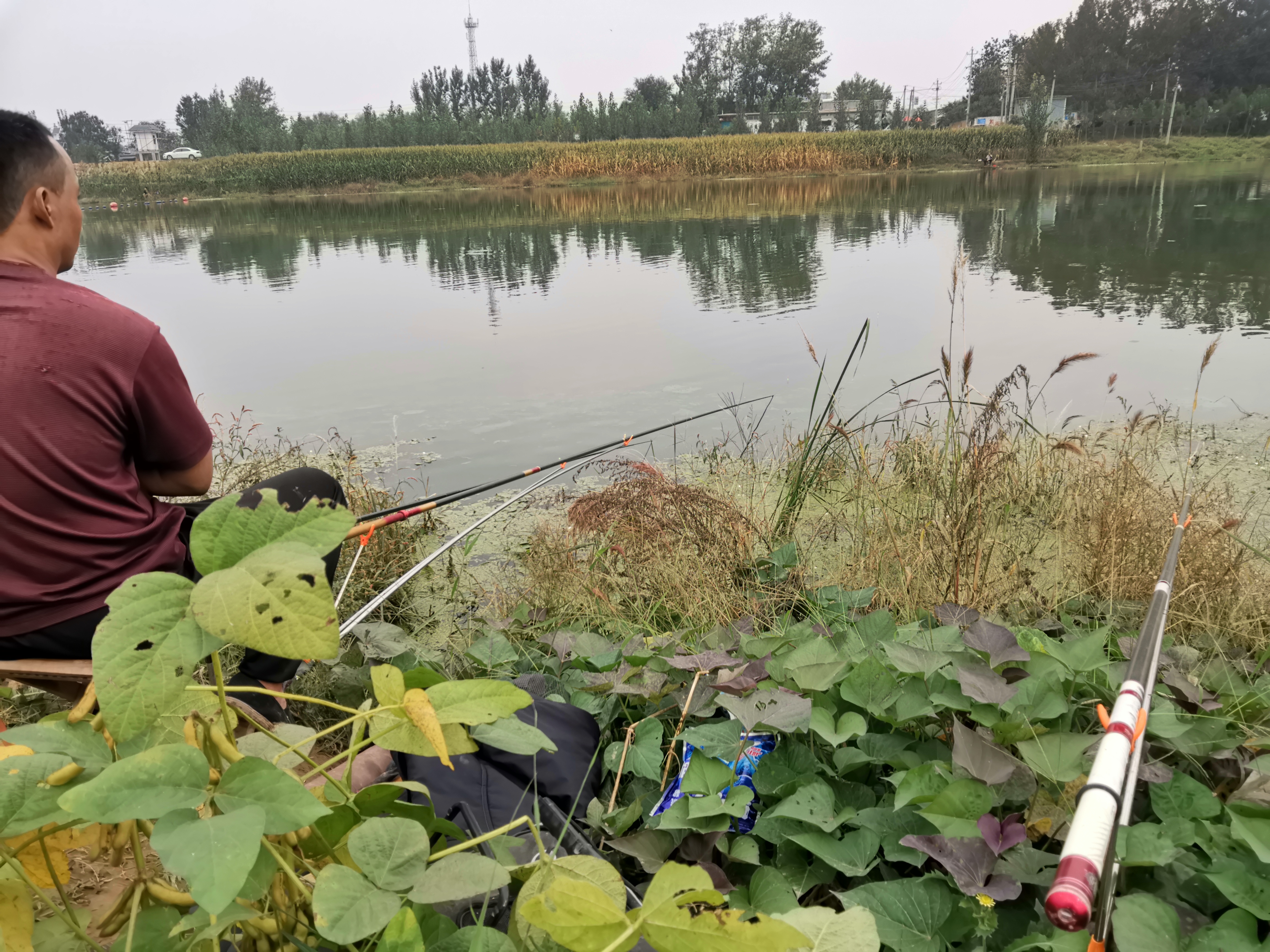 新手野钓带几根鱼竿 (钓鱼人一般带几根鱼竿)