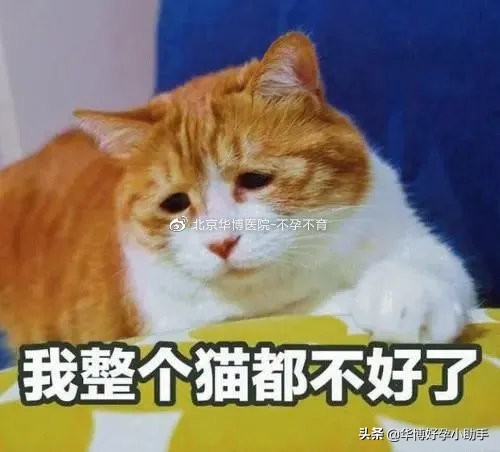 孕期见红，除了流产，还有这3种危险情况