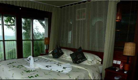 去三亚自由行住酒店还是民宿,去三亚旅游住哪最好