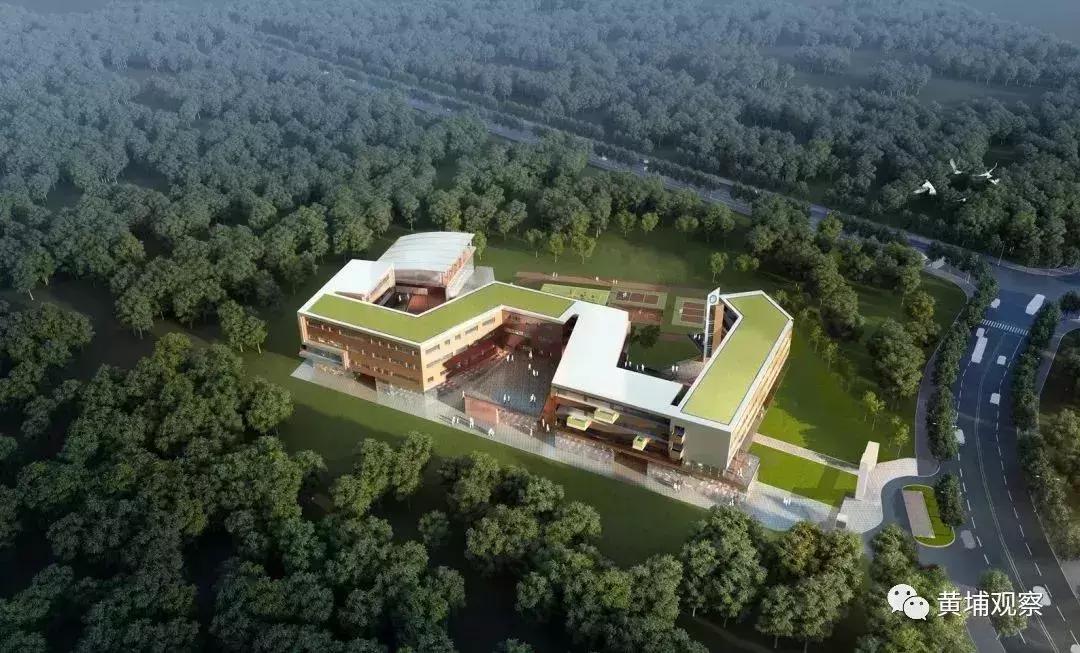 广州黄埔长岭居小学最新消息,黄埔长岭居学校