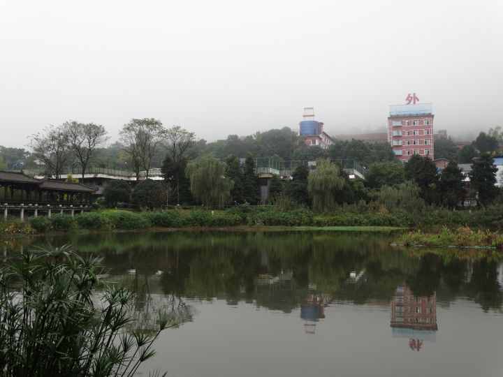 重庆哪所学校环境最好,重庆环境最差的学校