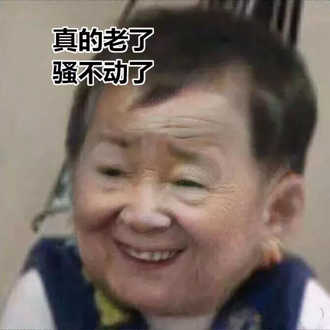 荷兰猪受到惊吓不吃食怎么办,荷兰猪感到不开心的表现