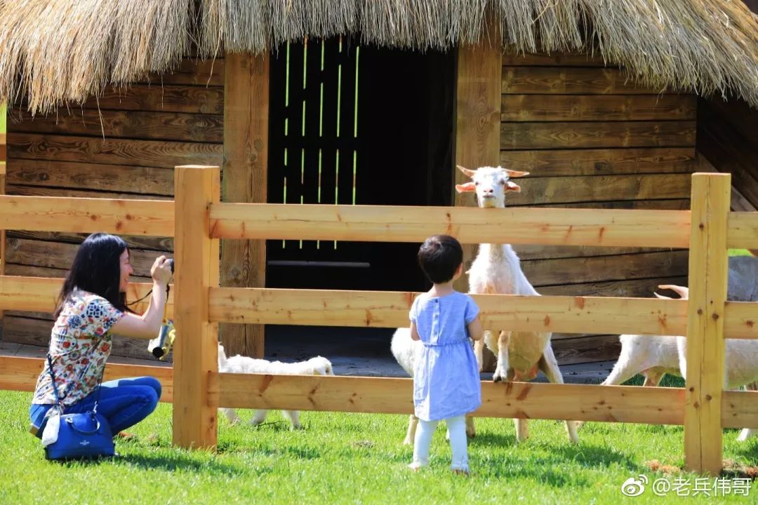 拍照圣地网红打卡大连,大连网红打卡地景点拍照