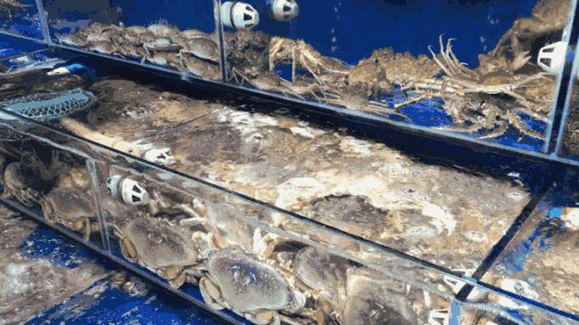 深圳最便宜年货批发市场货源,深圳年货市场哪里便宜